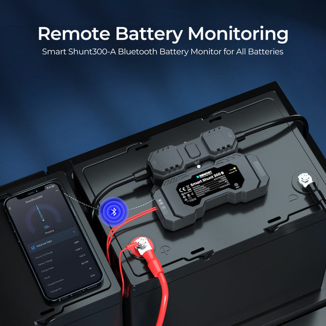 Control/Monitor | Renogy | RENOGY Battery Shunt 300