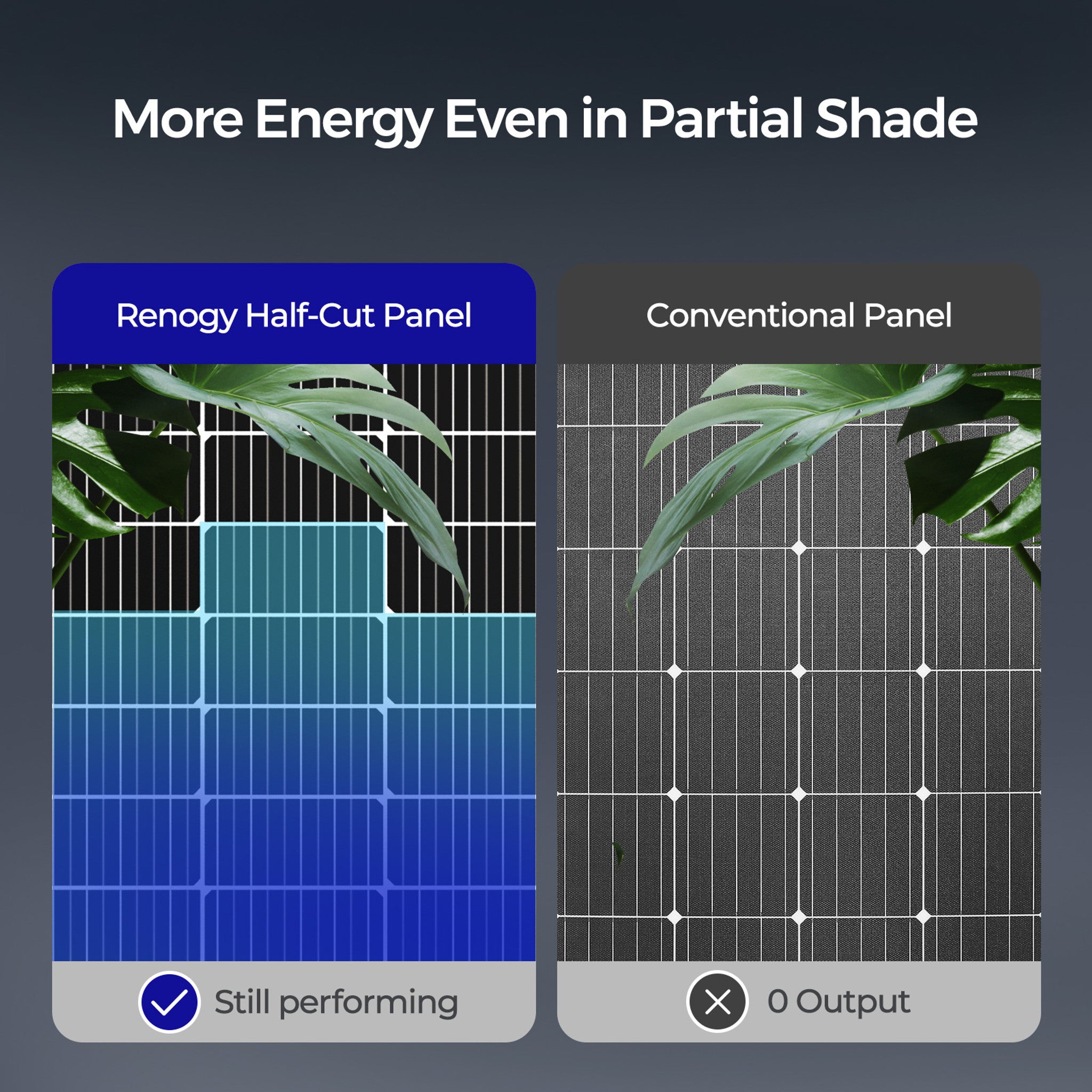 Renogy 220 Watt 12 Volt Bifacial Monocrystalline Solar Panel