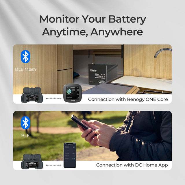 Control/Monitor | Renogy | RENOGY Battery Shunt 300