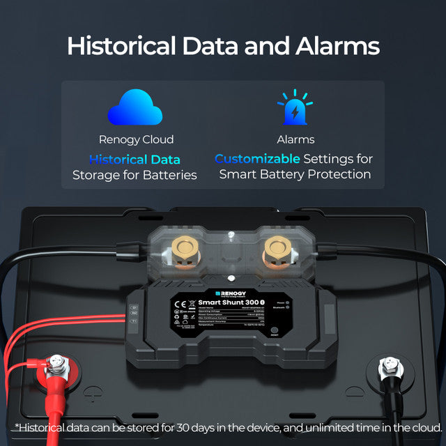 Control/Monitor | Renogy | RENOGY Battery Shunt 300
