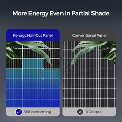 Renogy 115 Watt 12 Volt Bifacial Monocrystalline Solar Panel