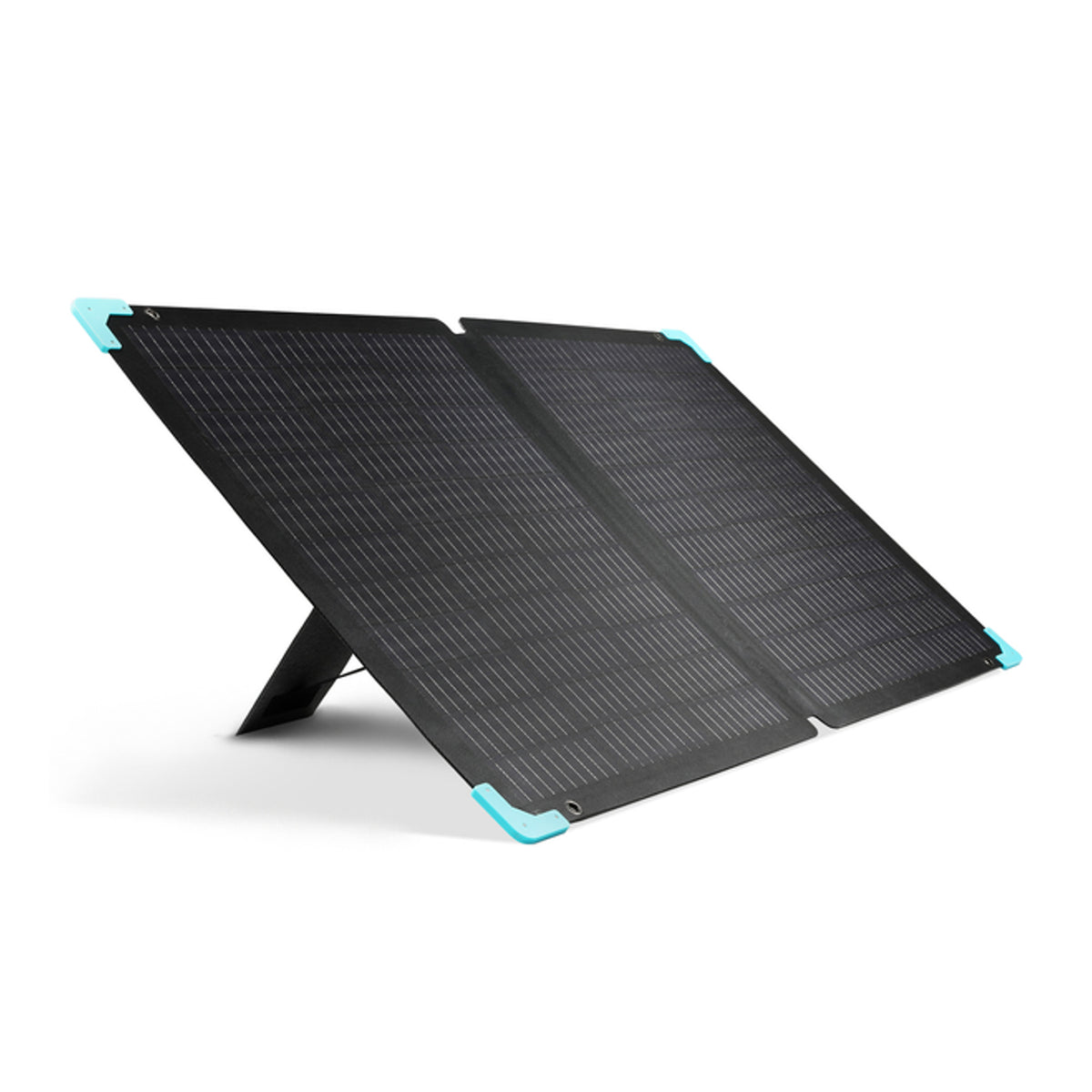 Solar Panel | Renogy | E.FLEX 120W Portable Solar Panel